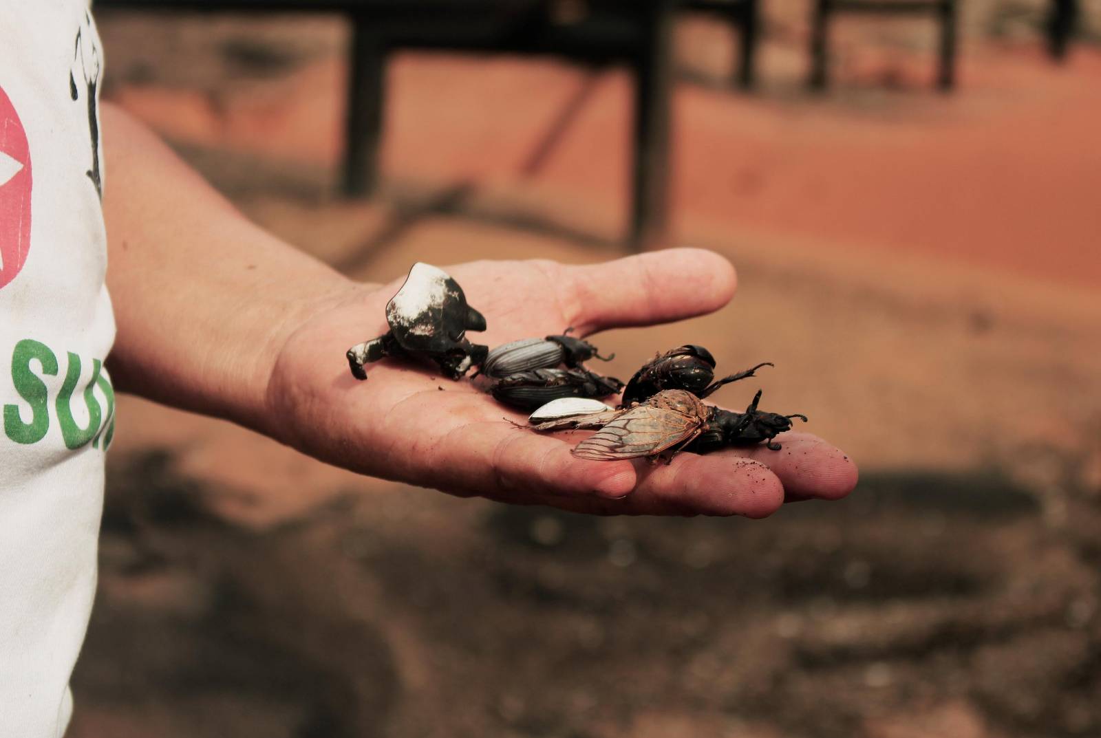 El río sigue envenenado. Chevron sigue sin pagar.