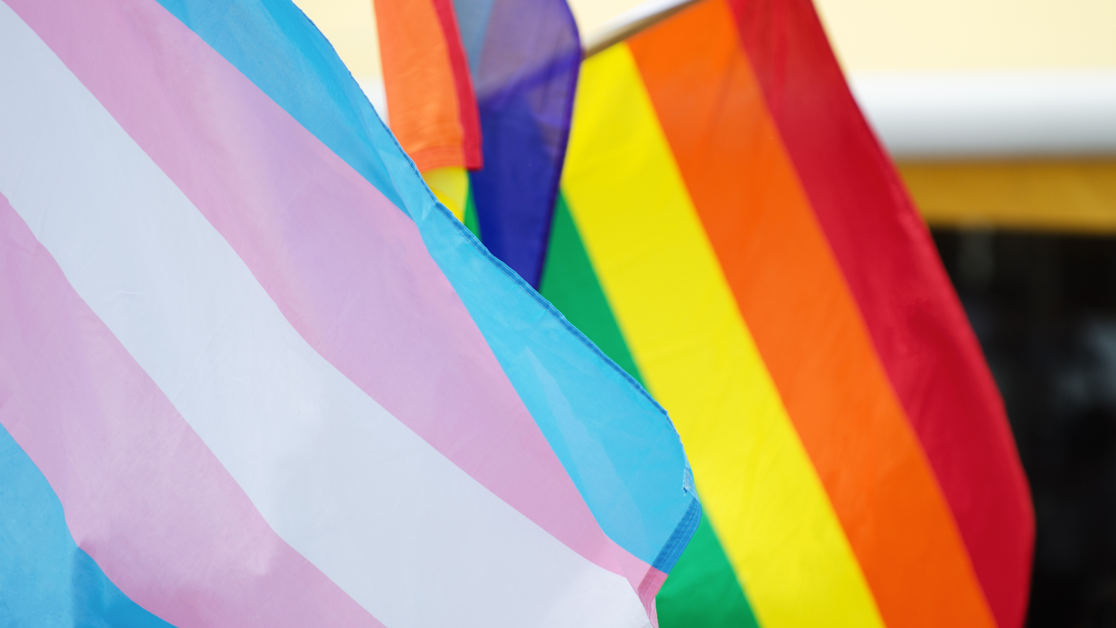 28 de junio de 2026 – Día Internacional del Orgullo LGTBIQ+